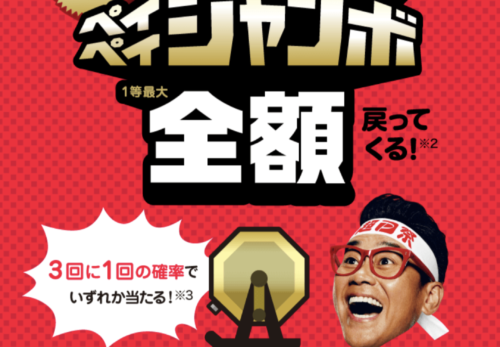 PayPayで全額？？？