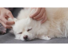 幸せホルモンを出してポジティブに！